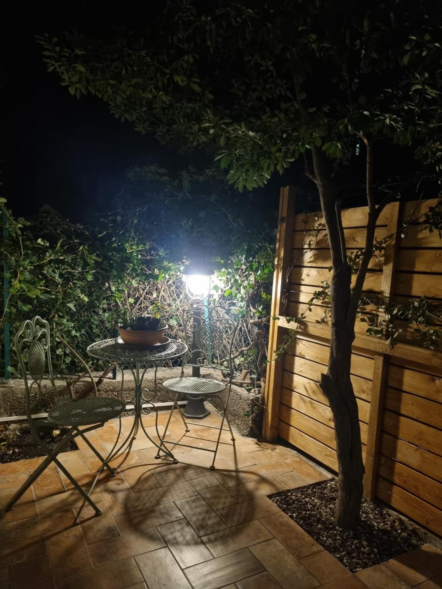 Cavana Cosy Apartment With Garden Near The Sea 的里雅斯特 外观 照片